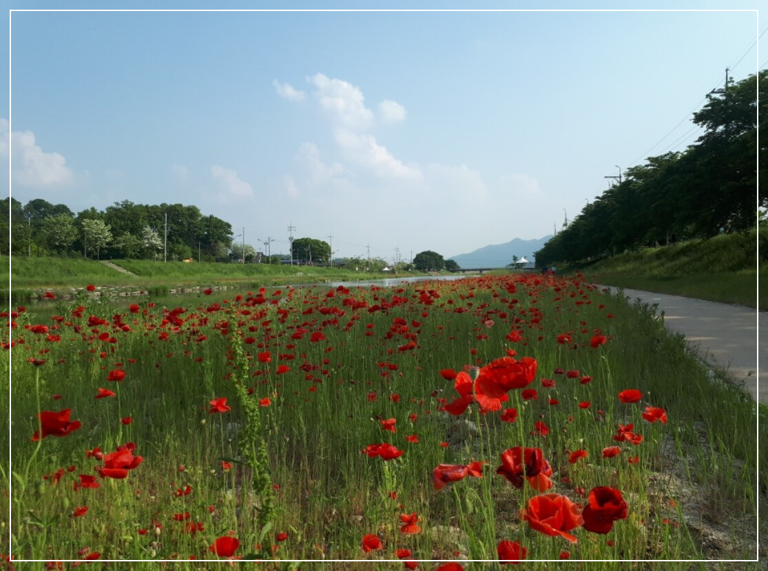 임실 가볼만한곳 베스트10 오수의견 관광지(의견공원)