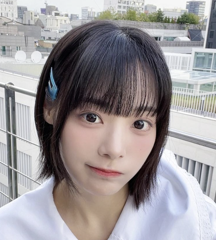 시연 2