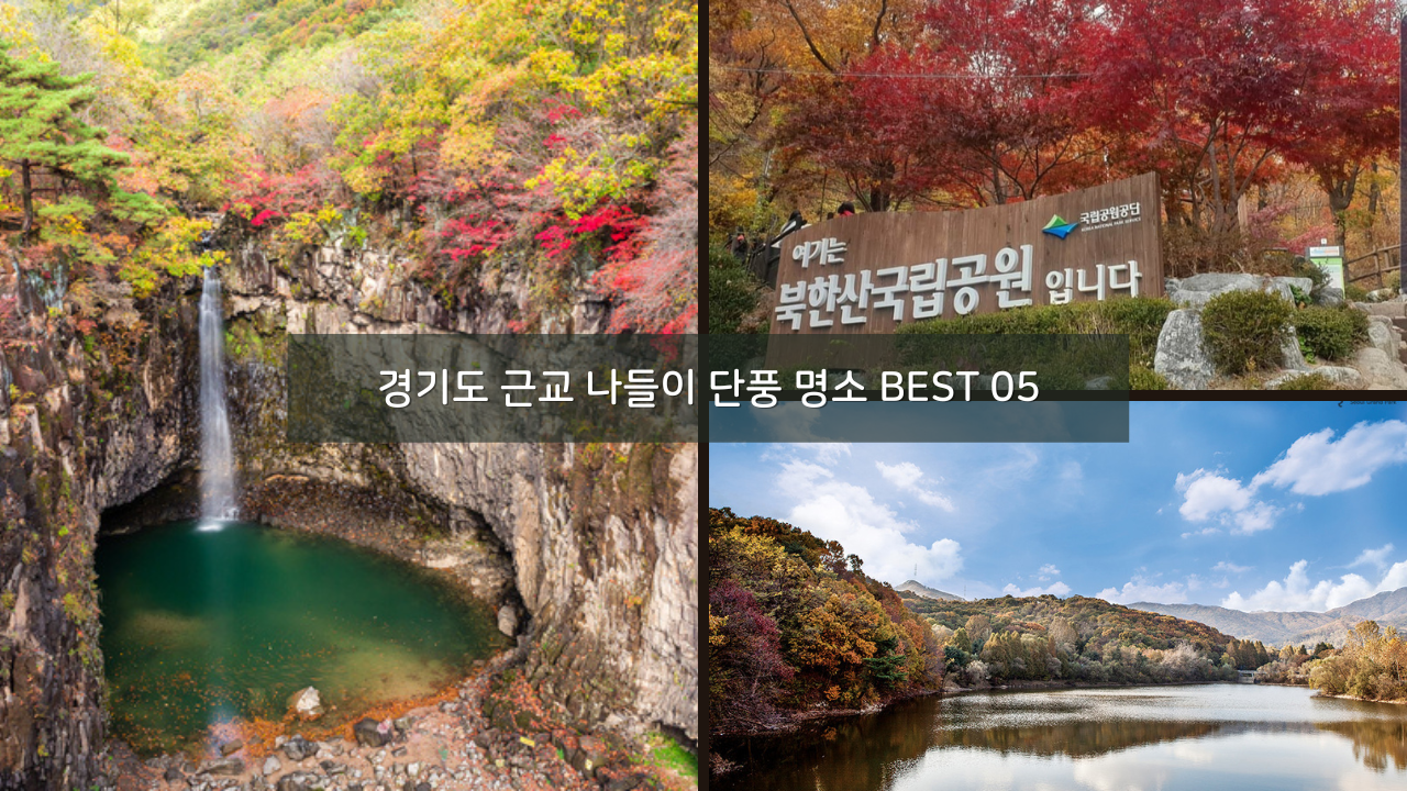 경기도 근교 나들이 단풍 명소 BEST 05 가족 나들이 데이트 코스