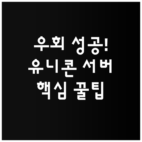 콘텐츠 우회 접속을 위한 유니콘 HT..