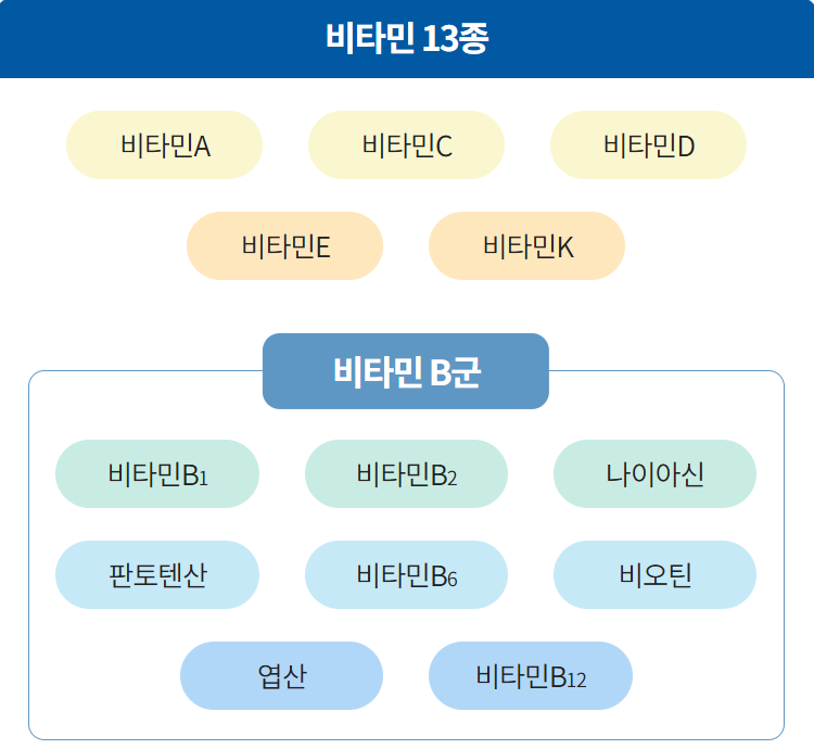 애터미 프로비타민