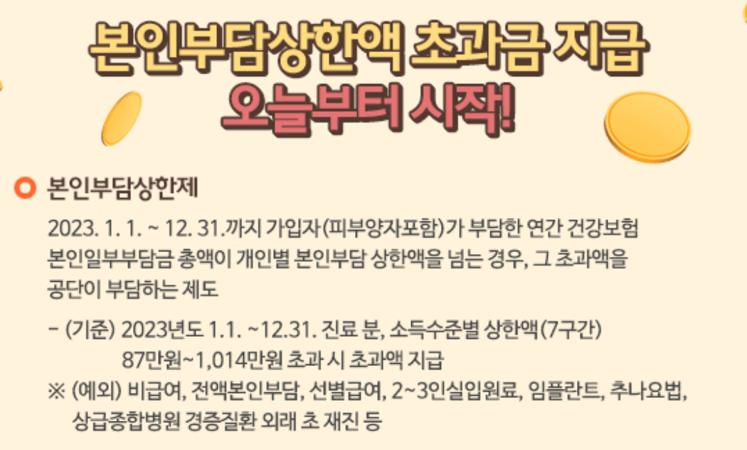 국민건강보험 본인부담상한제 환급금 ❘ 조회 ❘ 신청