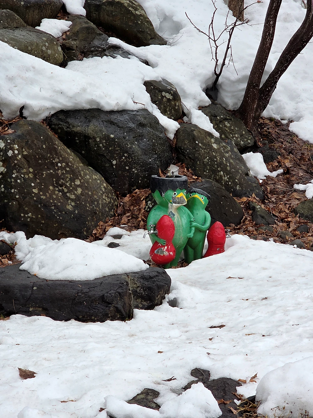 후타미 공원 쓰리교 산책길 5