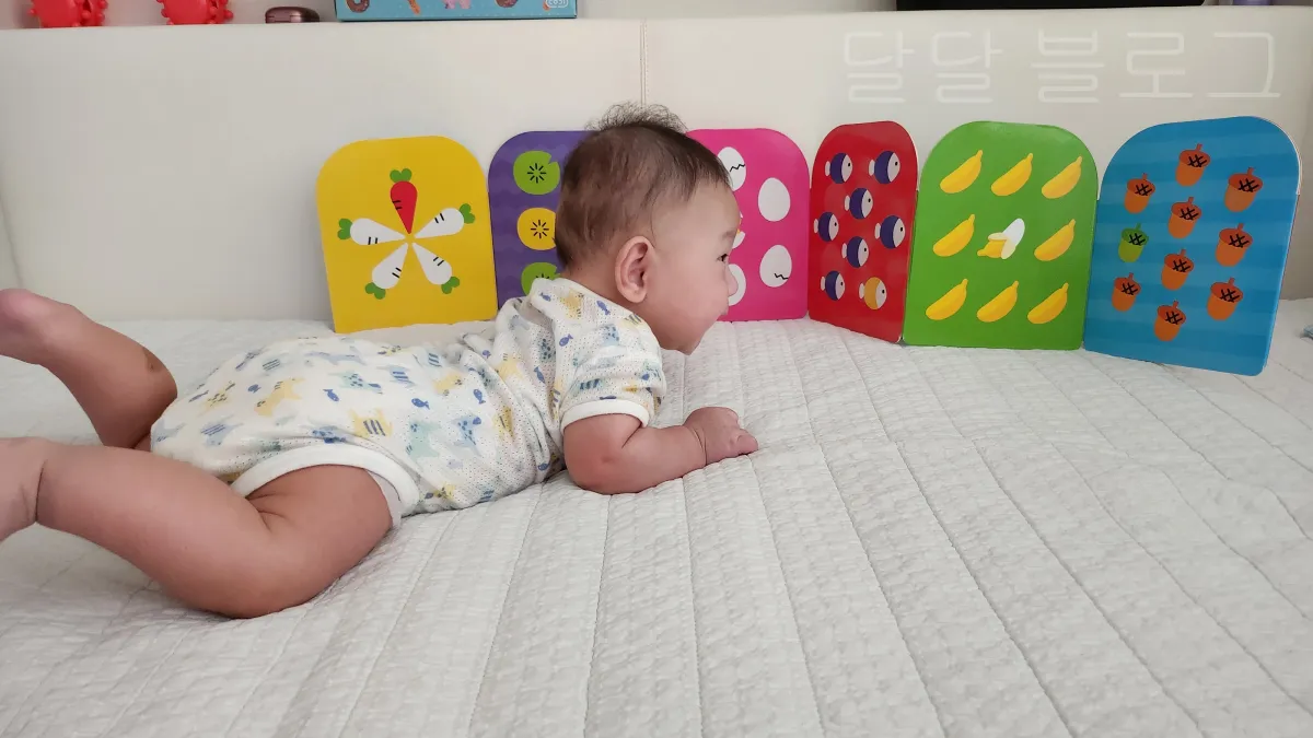 3개월-아기-놀이-컬러모빌-컬러초점책-장난감