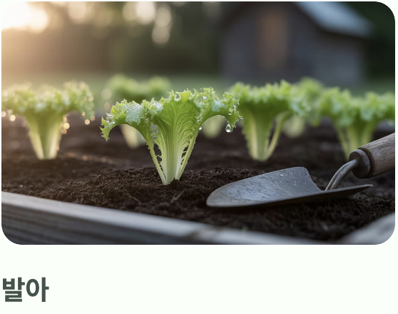 초보자도 OK! 파종과 솎아주기