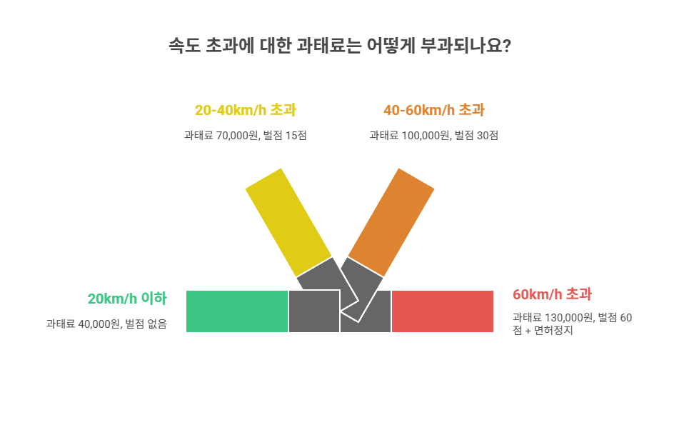 과태료 부과 기준은 어떻게 될까요?