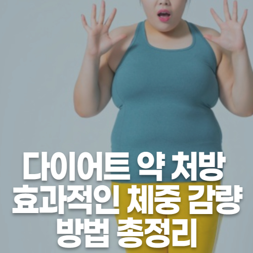 다이어트 약 처방, 효과적인 체중 감량 방법 총정리 관련 사진