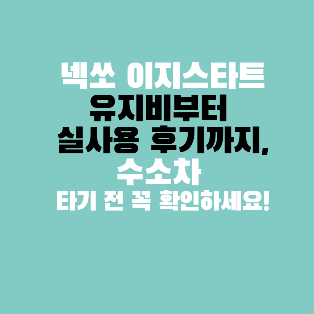 넥쏘 이지스타트 유지비