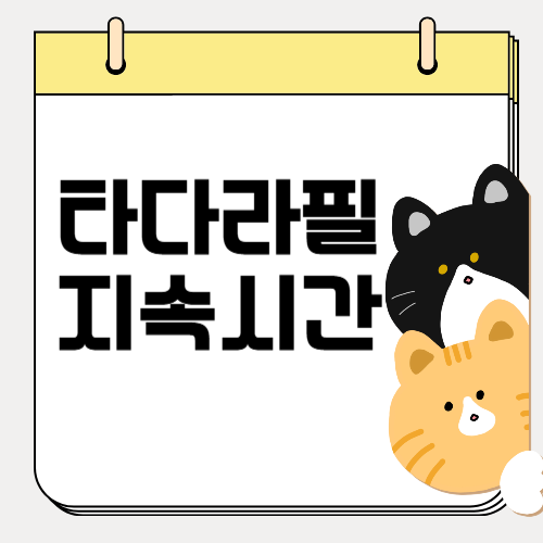 타다라필 지속 시간 효과와 부작용