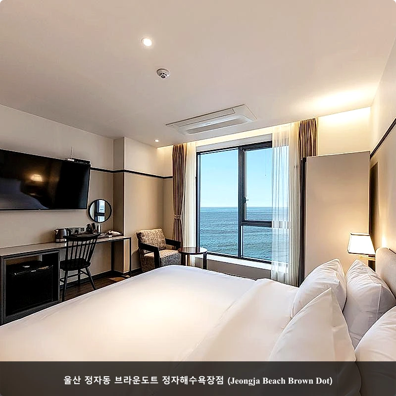 울산 정자동 브라운도트 정자해수욕장점 (Jeongja Beach Brown Dot)_2