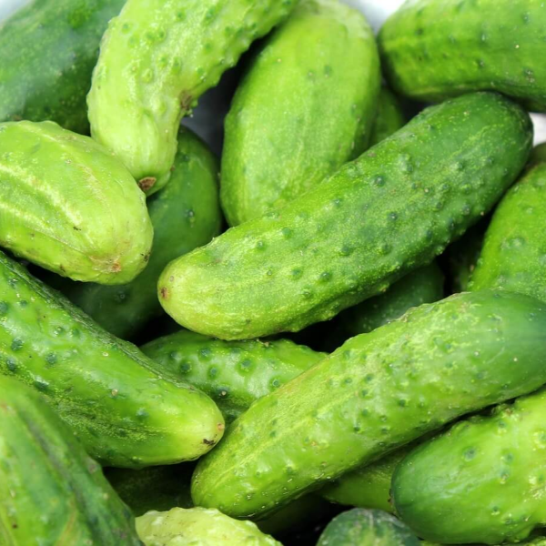 비타민c 효능 사진 12