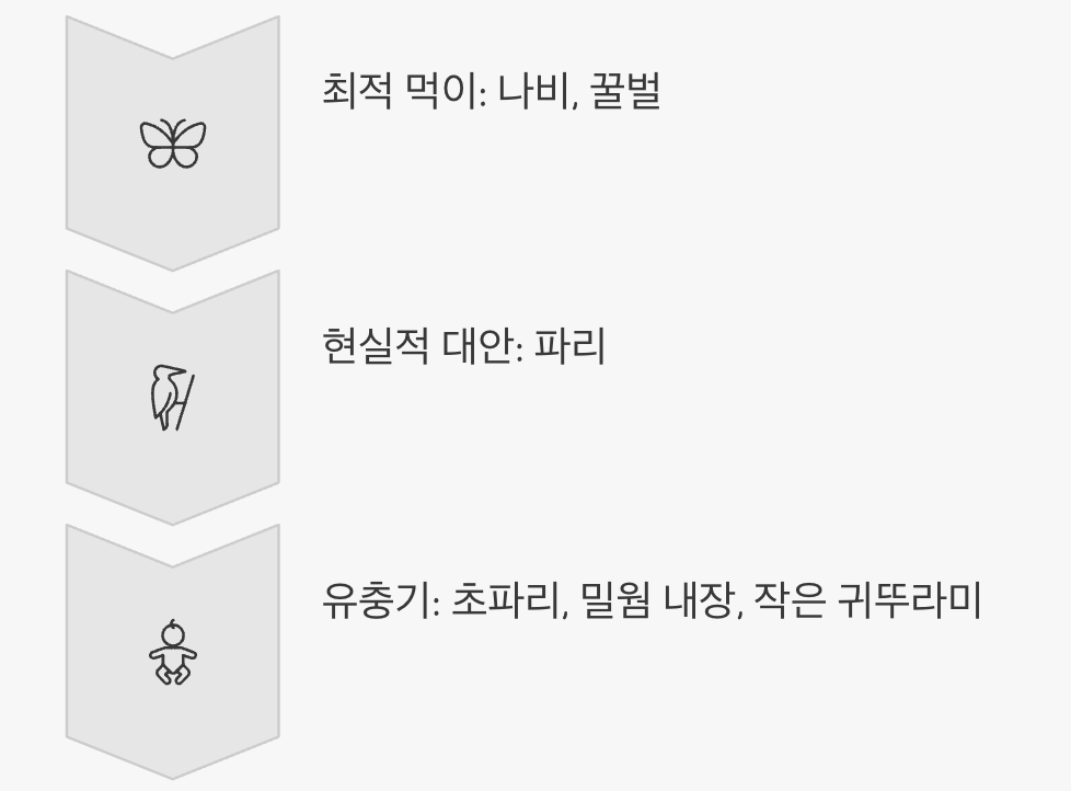 꽃을 찾아온 나비 사냥, 먹이 급여법