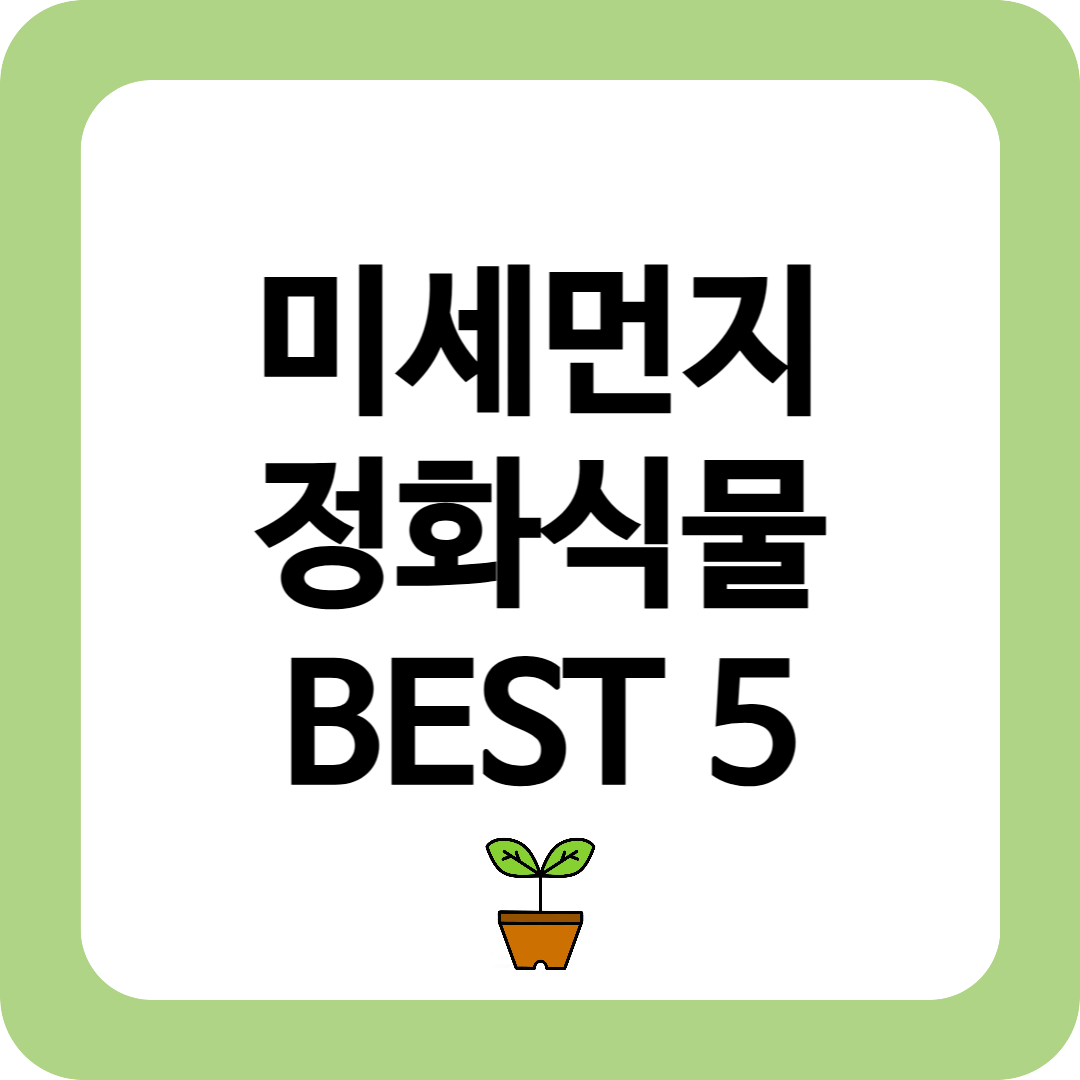 미세먼지정화식물 공기정화식물 추천