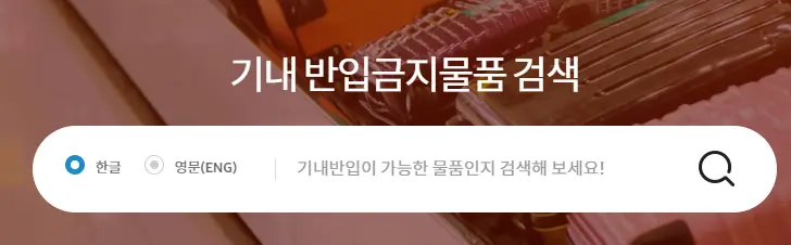 기내 반입품목 검색
