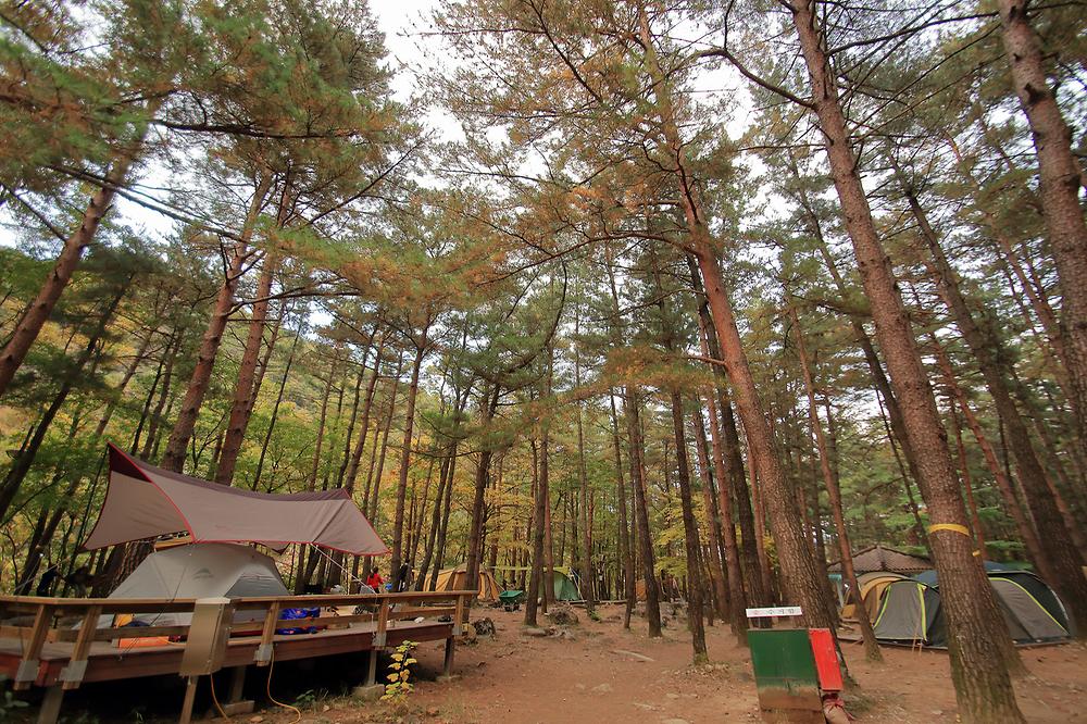 동해시 무릉계곡힐링캠핑장 소개