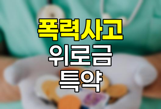 폭력사고 위로금 특약의 핵심