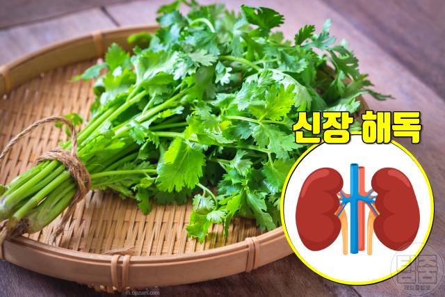 신장 해독에 좋은 음식 파슬리