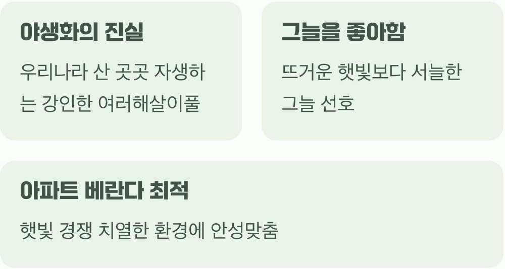 산삼 캐는 것만큼 어려울까? (첫 만남과 오해)