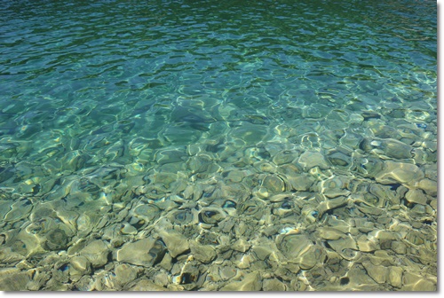 조개류 해감 빼는 법 미세플라틱 잘 제거