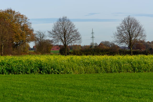 2025년 12월 1일부터 12월 28일까지 날씨 예보