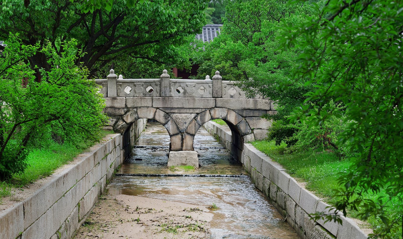 창경궁 물빛연화