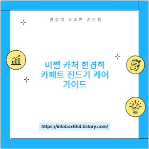 비쎌 카처 한경희 카페트 진드기 케어 가이드