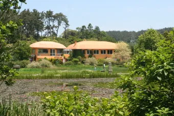 천리포 수목원 목련축제 입장료 여행코스_44