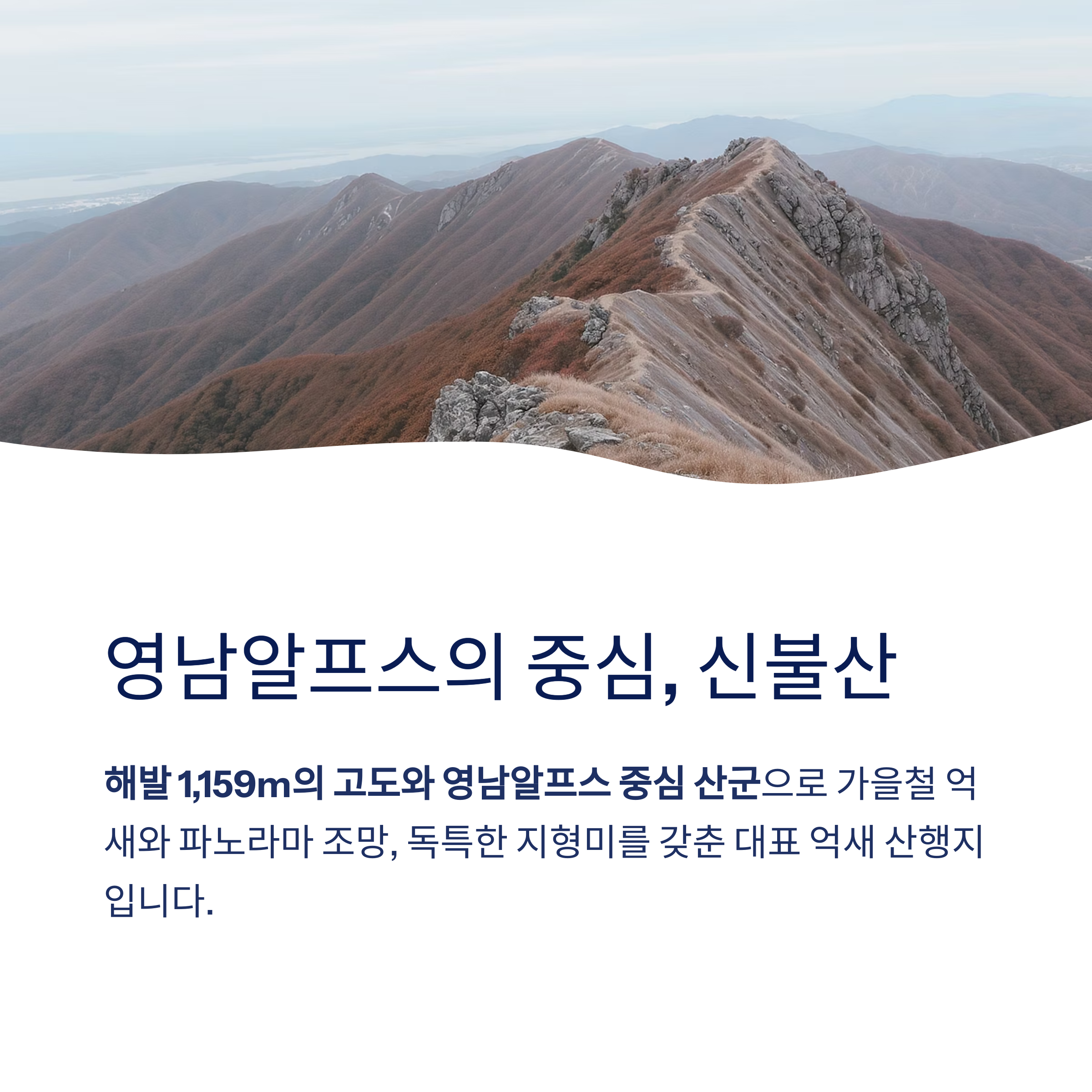 억새 산행, 왜 하필 신불산 공룡능선인가?