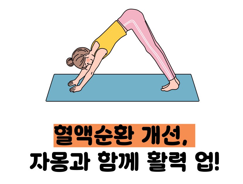 자몽 효능