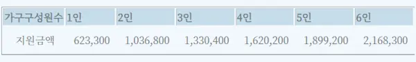 가구 구성원별 지원금액