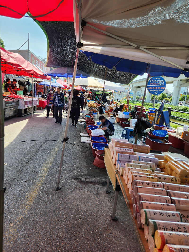 용인 5일장