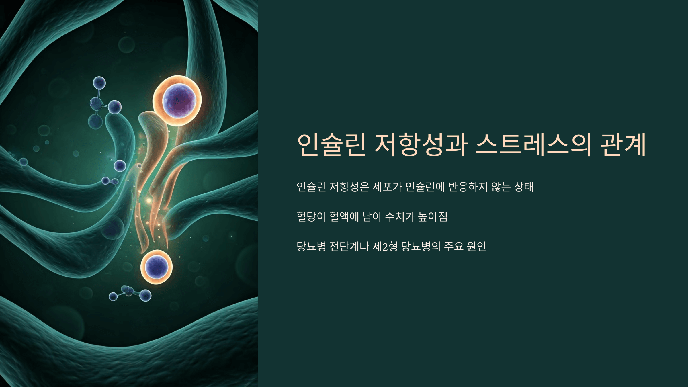 인슐린 저항성과 스트레스