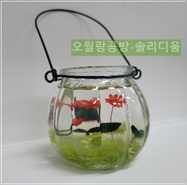 화분바구니
솔리디움
그라데이션
오월랑공방