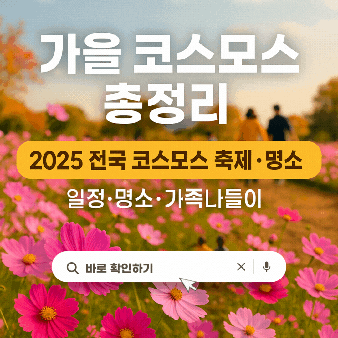 가을 코스모스 축제/명소/일정/가족나들이 총정리