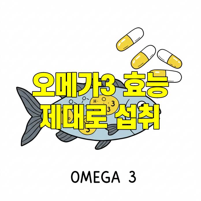 오메가3 효능, 제대로 알고 건강하게 섭취하세요