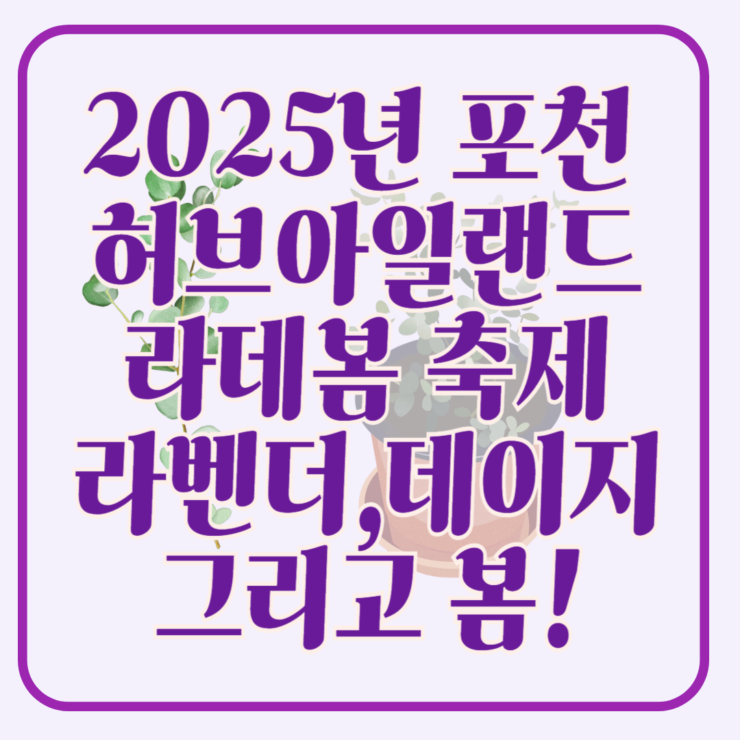 2025년 포천 허브아일랜드 라데봄 축제 완전 정복 가이드! 라데봄 축제 라벤더, 데이지 그리고 봄