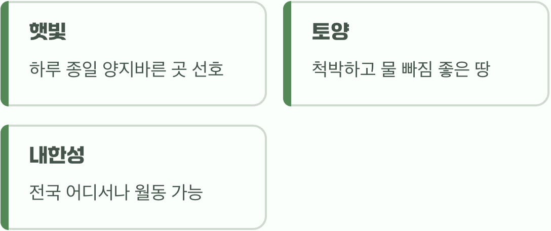 생명력 끝판왕을 위한 최고의 자리