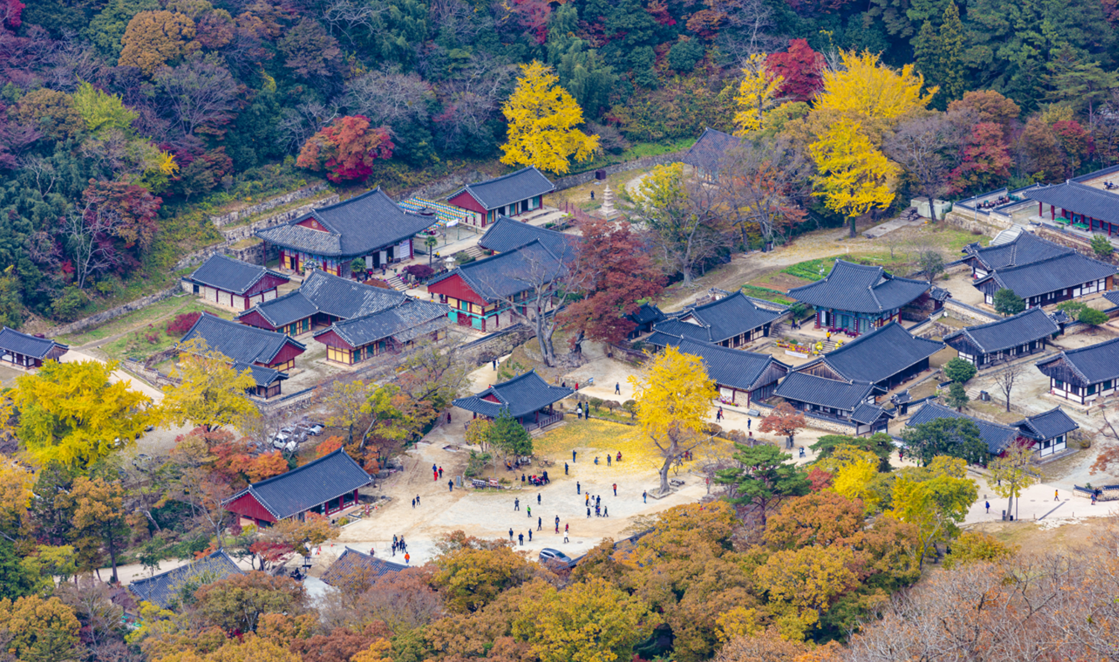 대흥사 그림 자료