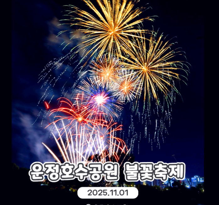운정호수공원 불꽃축제