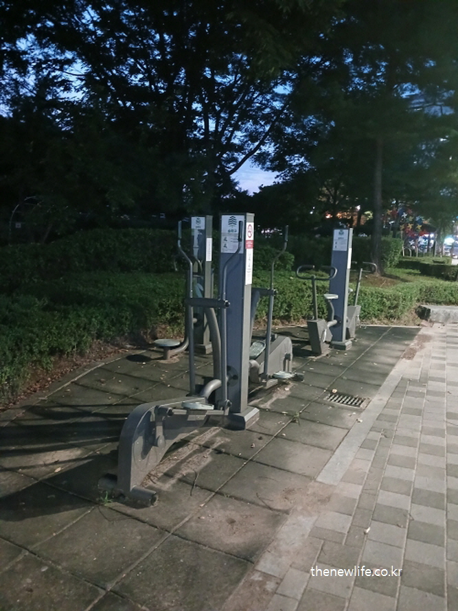 근력운동용 하체 전용 공공 운동기구들