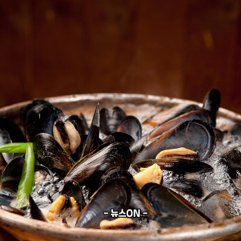 홍합 효능