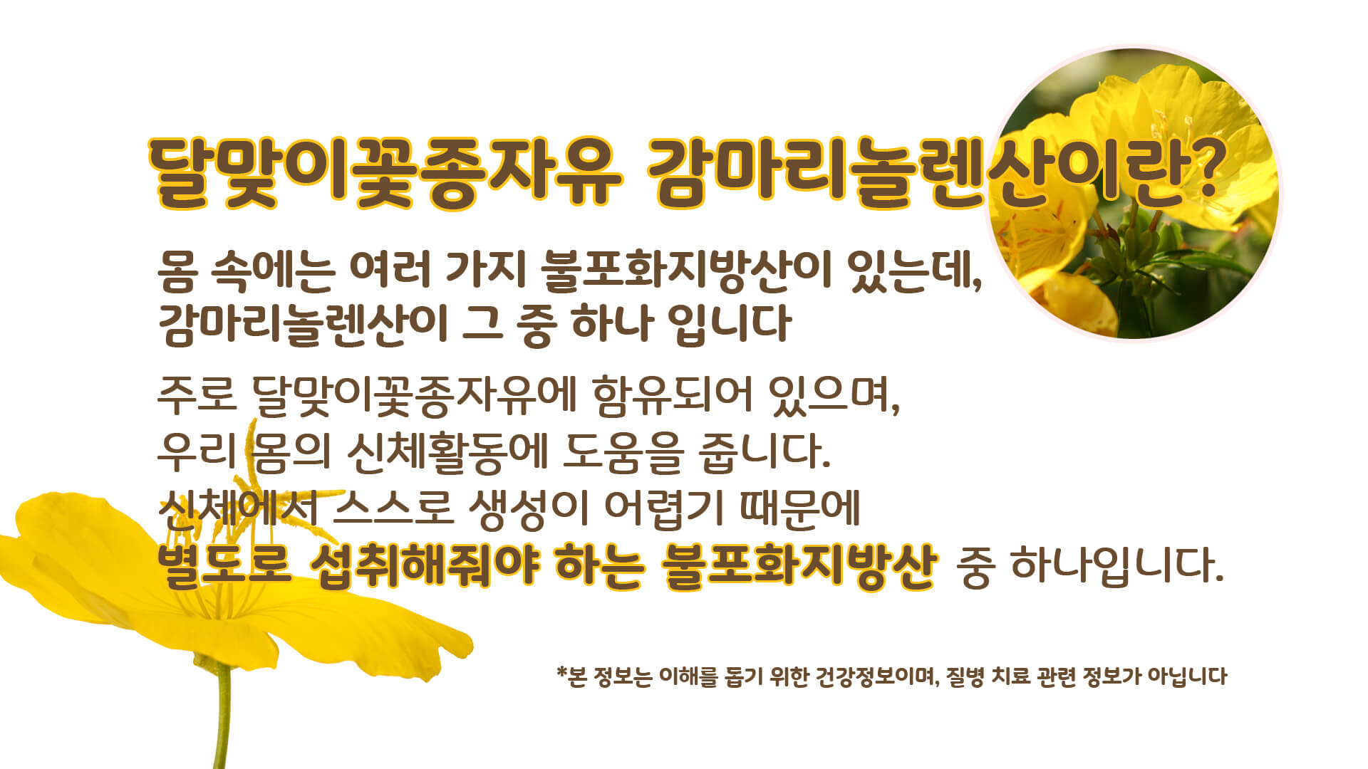 감마 리놀렌산의 건강 효능과 복용 방법