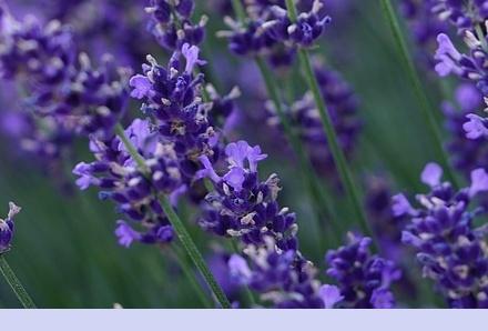 6월 국내 여행지 추천