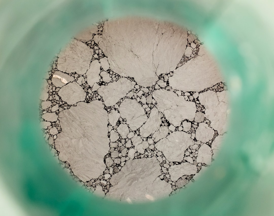 Mold