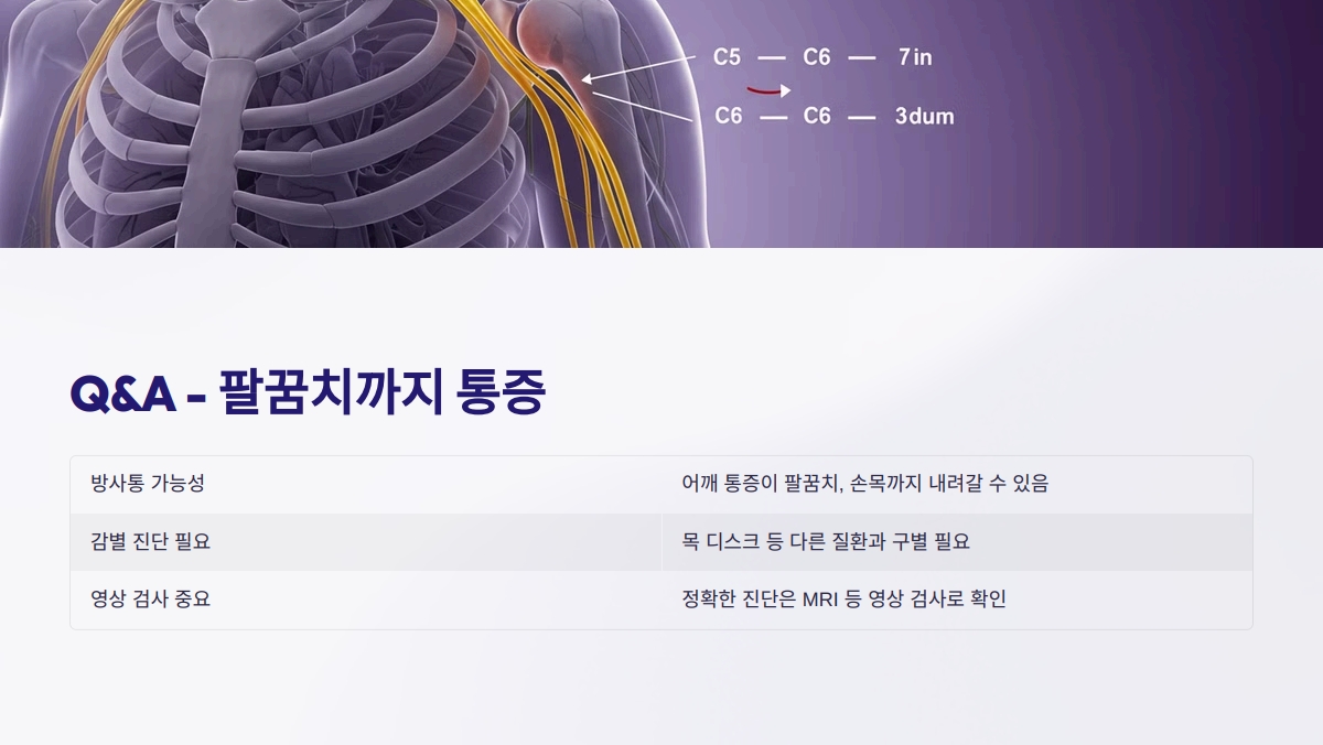 오십견 아픈 부위 체크