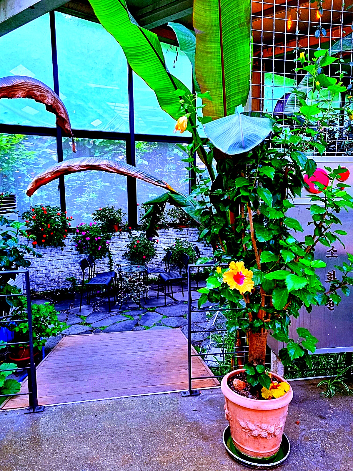 양주 오랑주리 카페: 자연 그대로 실내에 담은 대형 식물원 카페