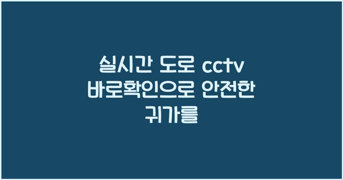 실시간 도로 cctv 바로확인
