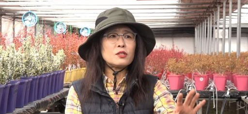 황석정 꽃집 농장 농원