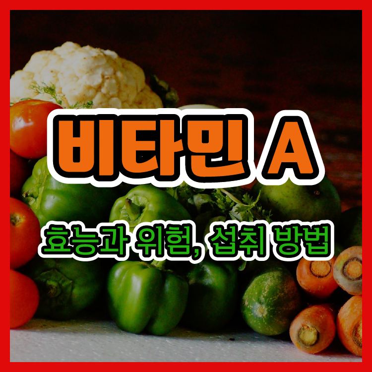 나도 비타민 A가 필요할까? 효능과 위험, 섭취 방법 알아보기
