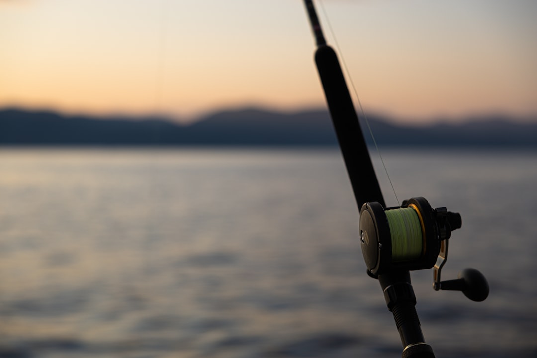 Fishing.
